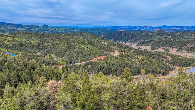 18766 State Highway 67, Divide, CO 80814 - mountain view with a forest