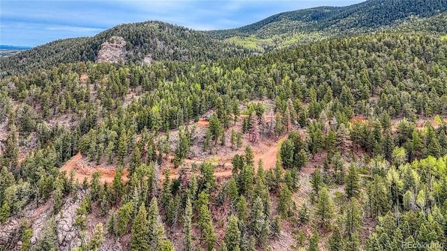 18766 State Highway 67, Divide, CO 80814 - mountain view with a heavily wooded area