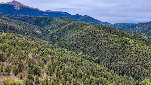 18766 State Highway 67, Divide, CO 80814 - mountain view with a forest