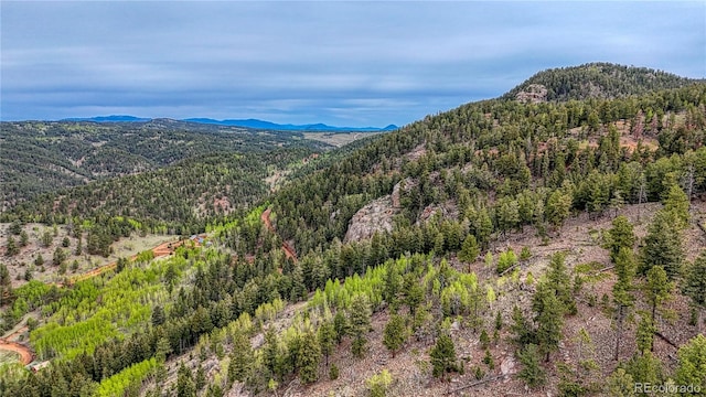 18766 State Highway 67, Divide, CO 80814 - mountain view featuring a forest