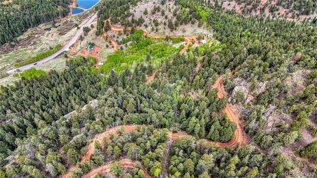 18766 State Highway 67, Divide, CO 80814 - aerial overview of property's location with a forest