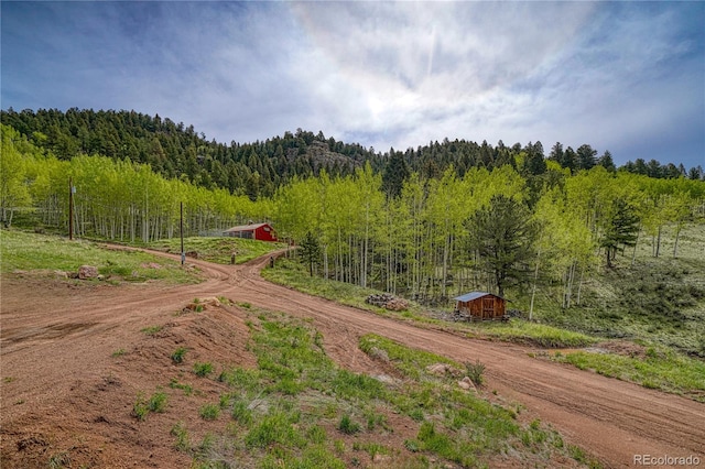 18766 State Highway 67, Divide, CO 80814 - view of dirt / gravel road with a wooded view