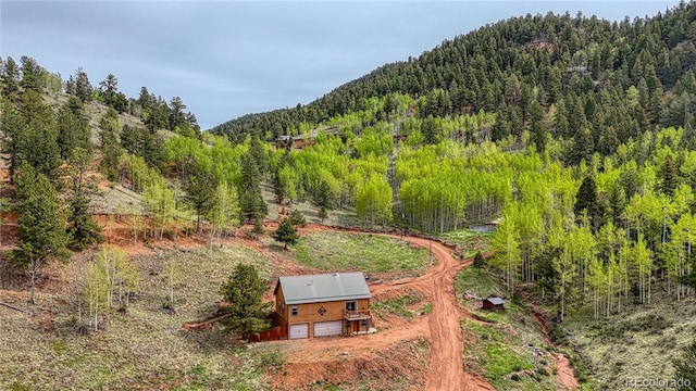 18766 State Highway 67, Divide, CO 80814 - view of subject property featuring a mountain backdrop and a heavily wooded area