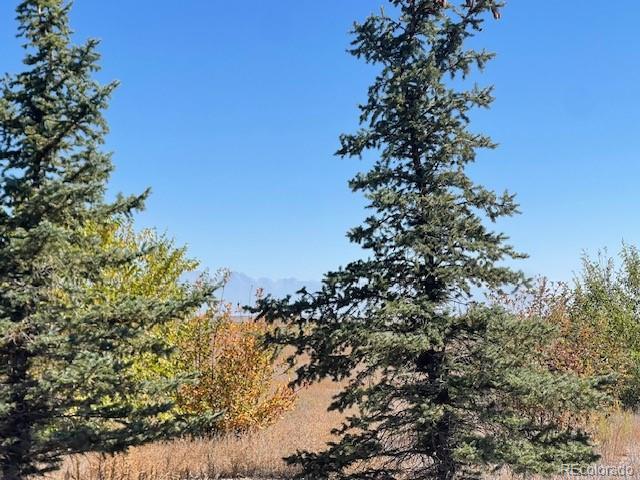 44001 County Road M, Center, CO 81125 - photo 8