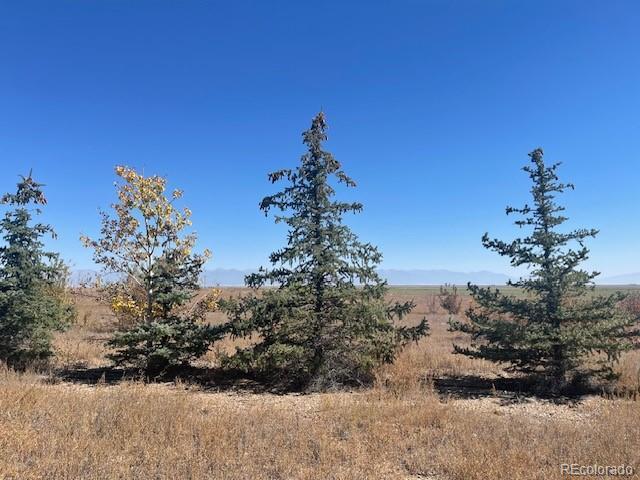 44001 County Road M, Center, CO 81125 - photo 9