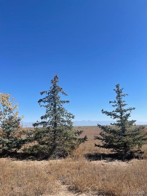 44001 County Road M, Center, CO 81125 - photo 19