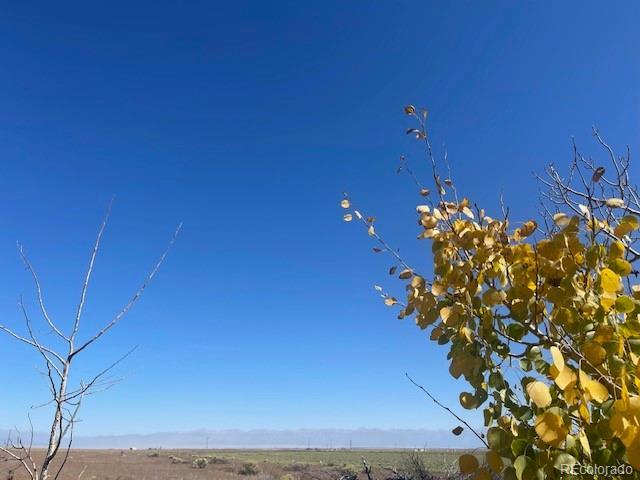 44001 County Road M, Center, CO 81125 - photo 24