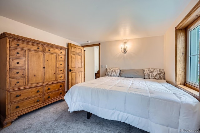 400 Argentine St, Georgetown, CO 80444 - photo 33