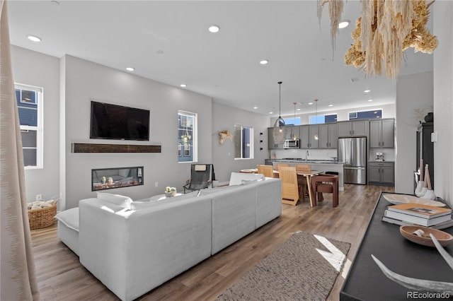 living room featuring sink and light hardwood / wood-style flooring