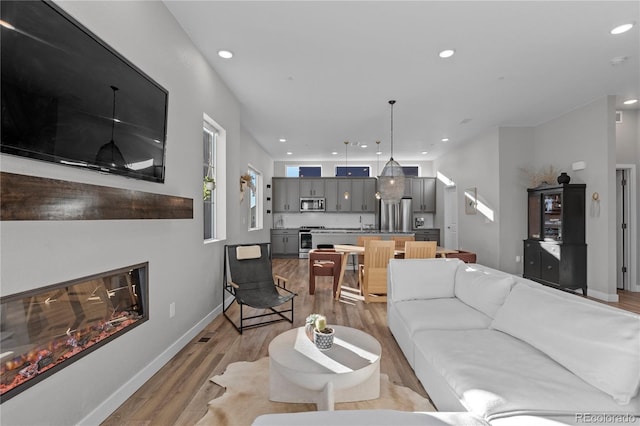 living room featuring light hardwood / wood-style floors