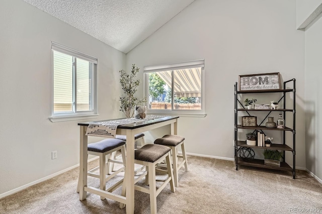 8993 W 88th Pl, Westminster, CO 80021 - dining space featuring carpet, a textured ceiling, and lofted ceiling