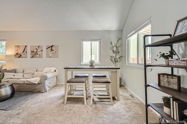8993 W 88th Pl, Westminster, CO 80021 - living room featuring light colored carpet and a textured ceiling