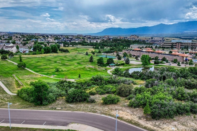 12589 Highland Oaks Pl, Colorado Springs, CO 80921 - photo 46