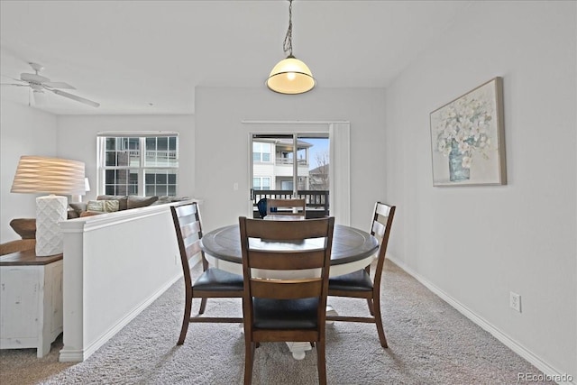 dining area with carpet flooring and ceiling fan