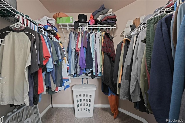 spacious closet featuring carpet flooring