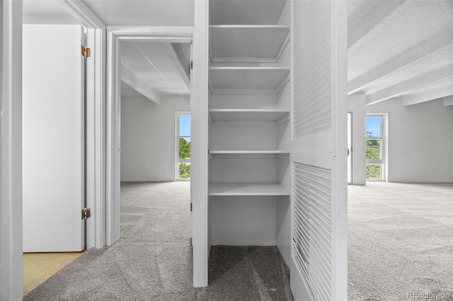 1255 N Ogden St Unit 406, Denver, CO 80218 - view of closet