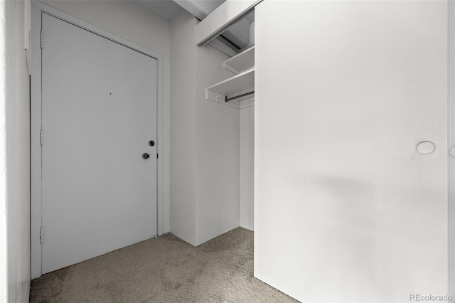 1255 N Ogden St Unit 406, Denver, CO 80218 - spacious closet featuring light carpet