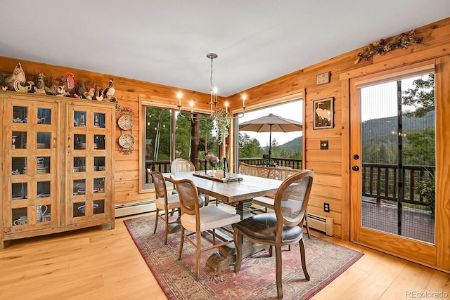 31112 Shadow Mountain Dr, Conifer, CO 80433 - dining room featuring wood walls, light wood finished floors, healthy amount of natural light, and a baseboard radiator