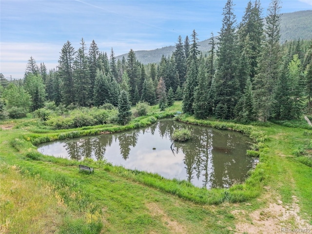 31112 Shadow Mountain Dr, Conifer, CO 80433 - water view featuring a heavily wooded area and a mountain backdrop