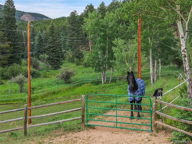 31112 Shadow Mountain Dr, Conifer, CO 80433 - gate with a view of trees