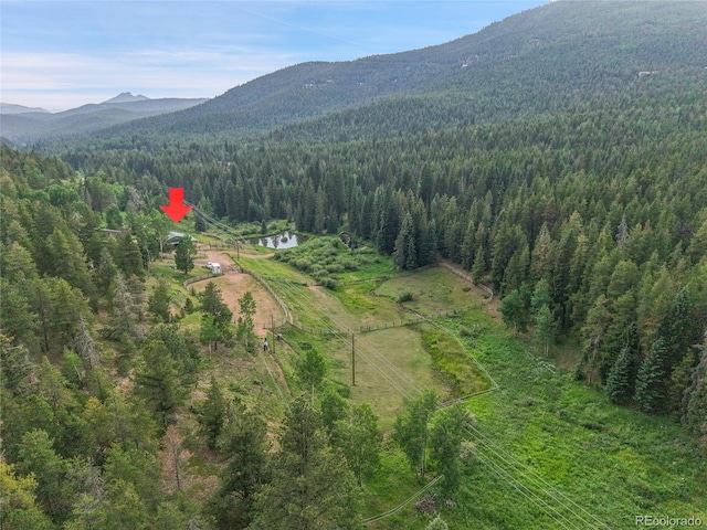 31112 Shadow Mountain Dr, Conifer, CO 80433 - mountain view with a heavily wooded area