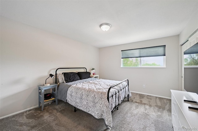 7029 S Webster St, Littleton, CO 80128 - photo 13