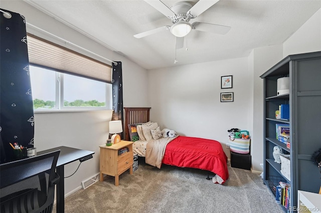 7029 S Webster St, Littleton, CO 80128 - photo 19