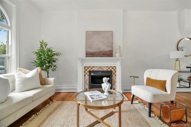 interior space with wood-type flooring and a fireplace