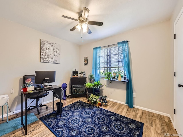 4121 W 111th Cir, Westminster, CO 80031 - home office featuring ceiling fan and wood finished floors