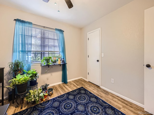 4121 W 111th Cir, Westminster, CO 80031 - entrance foyer featuring wood finished floors and ceiling fan