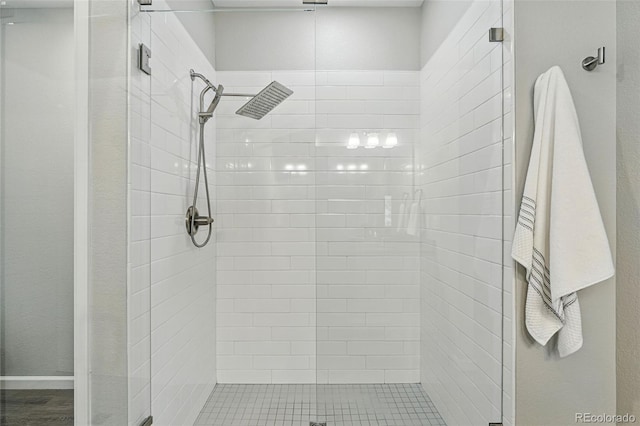 1592 Maggie Mae Ln, Castle Rock, CO 80104 - bathroom featuring a shower stall