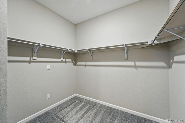 1592 Maggie Mae Ln, Castle Rock, CO 80104 - walk in closet featuring carpet