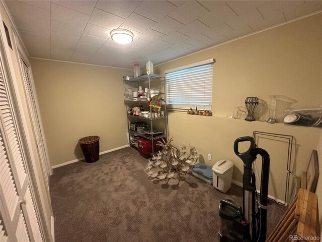 interior space with carpet flooring and crown molding