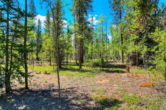 0 Busch Run Rd, Fairplay, CO 80440 - photo 3