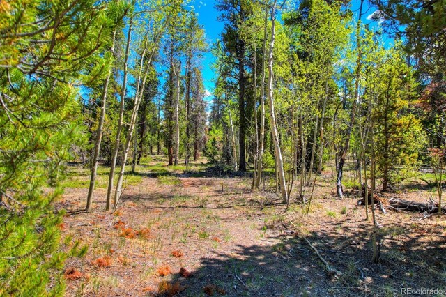0 Busch Run Rd, Fairplay, CO 80440 - photo 4