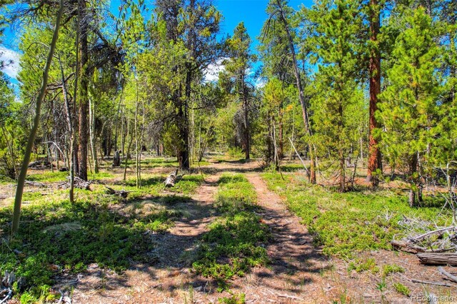 0 Busch Run Rd, Fairplay, CO 80440 - photo 5