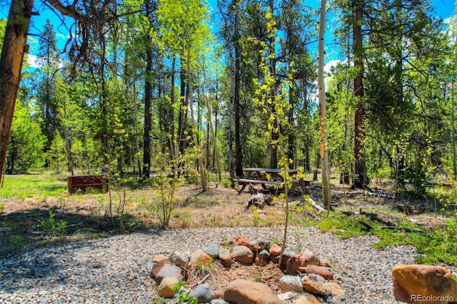0 Busch Run Rd, Fairplay, CO 80440 - photo 6