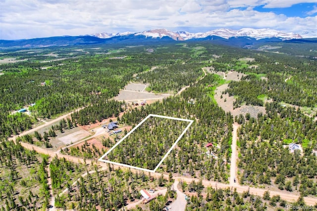 0 Busch Run Rd, Fairplay, CO 80440 - photo 8