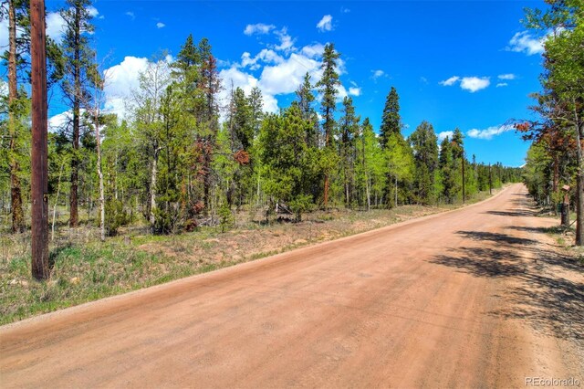 0 Busch Run Rd, Fairplay, CO 80440 - photo 9