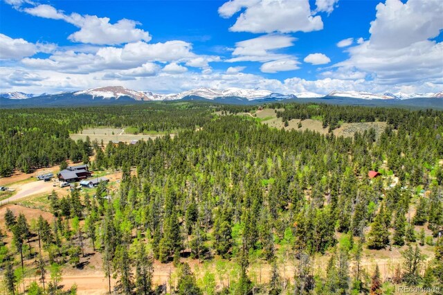 0 Busch Run Rd, Fairplay, CO 80440 - photo 12