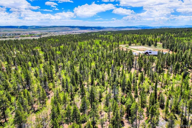 0 Busch Run Rd, Fairplay, CO 80440 - photo 13