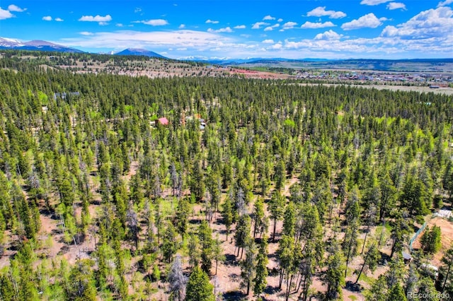 0 Busch Run Rd, Fairplay, CO 80440 - photo 14