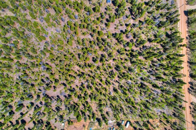 0 Busch Run Rd, Fairplay, CO 80440 - photo 15