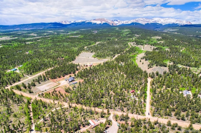 0 Busch Run Rd, Fairplay, CO 80440 - photo 16