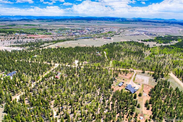 0 Busch Run Rd, Fairplay, CO 80440 - photo 17
