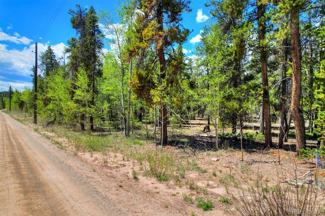 0 Busch Run Rd, Fairplay, CO 80440 - photo 18