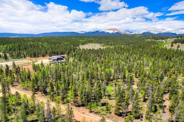 0 Busch Run Rd, Fairplay, CO 80440 - photo 1
