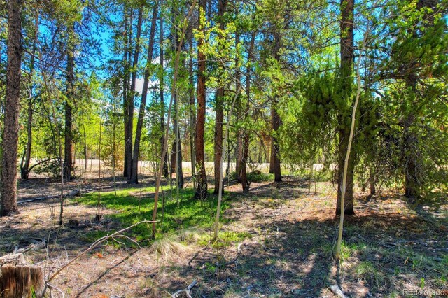 0 Busch Run Rd, Fairplay, CO 80440 - photo 2