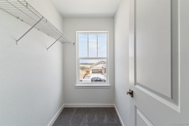25254 E Warren Pl, Aurora, CO 80018 - spacious closet with carpet flooring