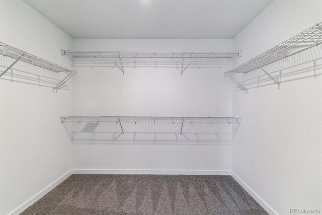 25254 E Warren Pl, Aurora, CO 80018 - walk in closet with carpet flooring